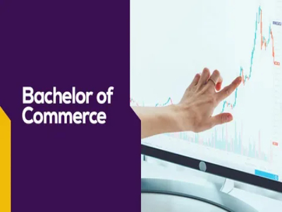 Computer science students working on programming projects